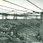 Construction of the Mabee Center